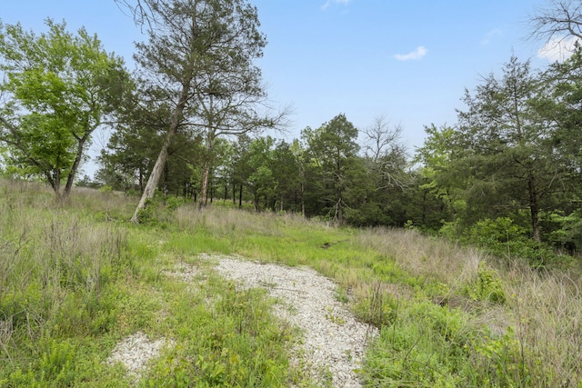 900 James F Epps Rd, Branson, MO 65616 - photo 17