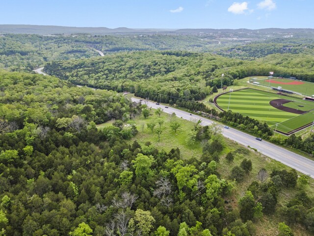 900 James F Epps Rd, Branson, MO 65616 - photo 9