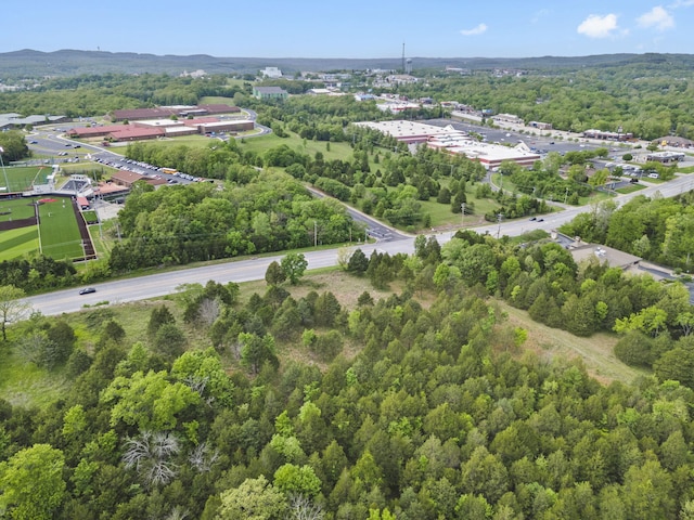900 James F Epps Rd, Branson, MO 65616 - photo 8