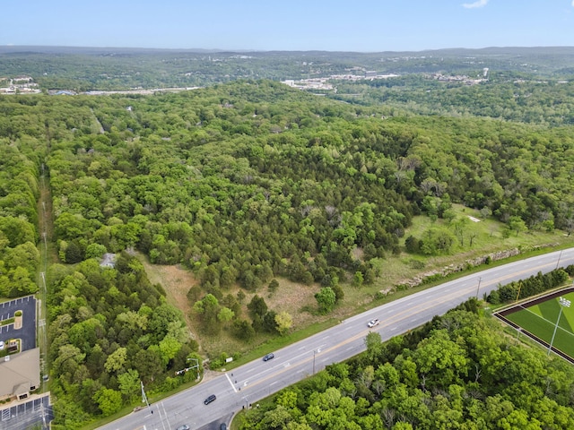 900 James F Epps Rd, Branson, MO 65616 - photo 6