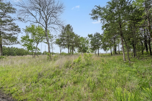 900 James F Epps Rd, Branson, MO 65616 - photo 21