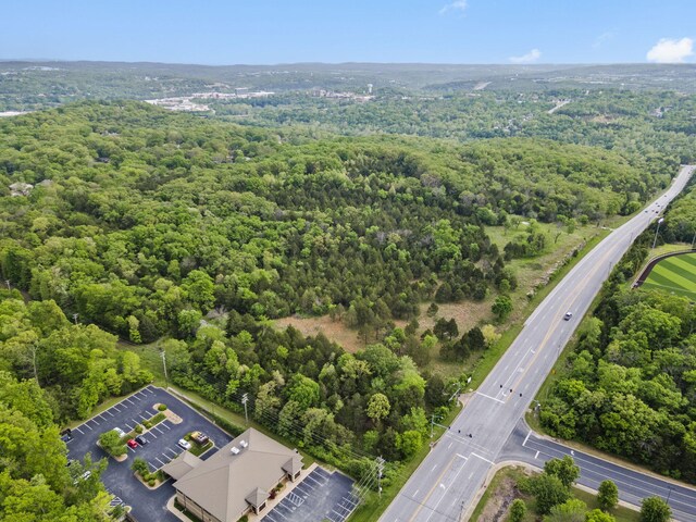 900 James F Epps Rd, Branson, MO 65616 - photo 25