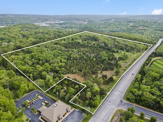 900 James F Epps Rd, Branson, MO 65616 - photo 1