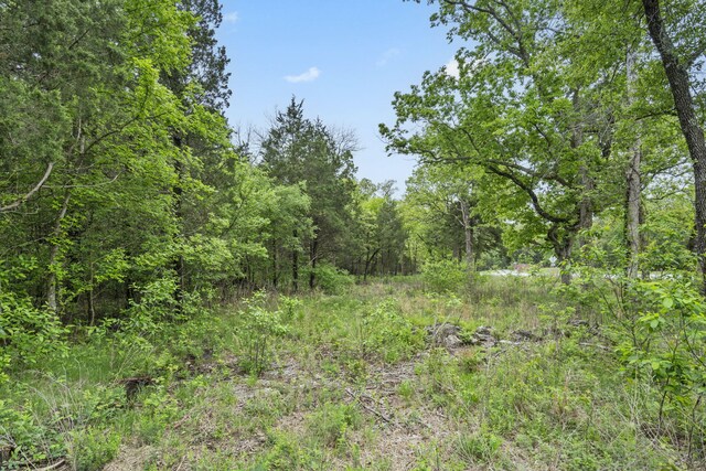 900 James F Epps Rd, Branson, MO 65616 - photo 20