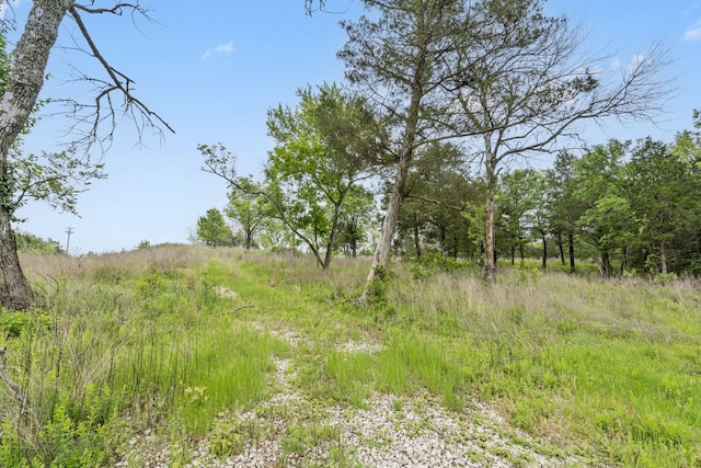 900 James F Epps Rd, Branson, MO 65616 - photo 18