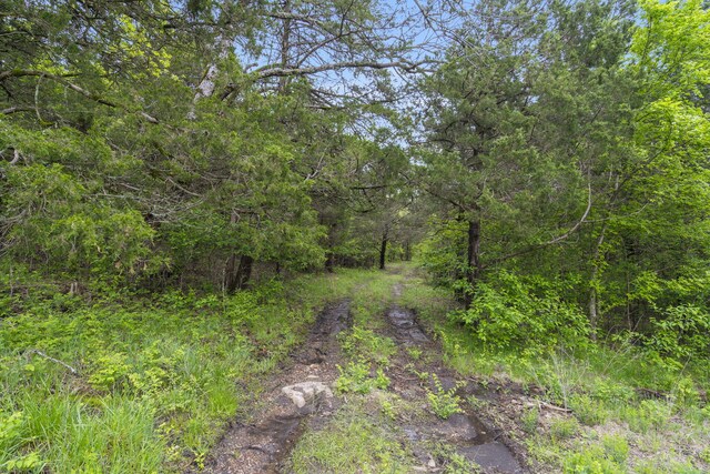 900 James F Epps Rd, Branson, MO 65616 - photo 19