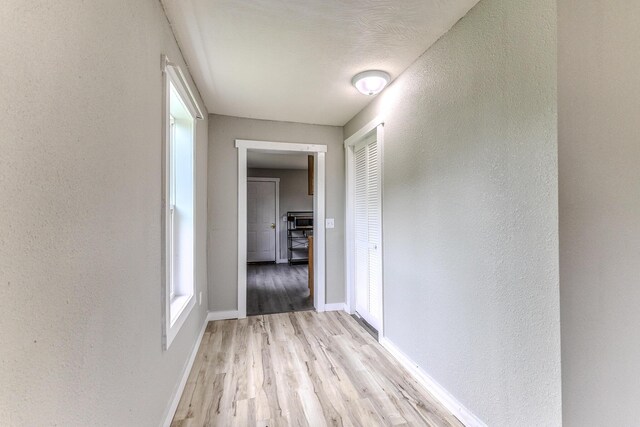 390 S Mabon Ave, Hartville, MO 65667 - photo 6