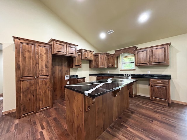 19040 Norway Rd, Neosho, MO 64850 - kitchen featuring dark wood-style floors, a center island, a sink, dark countertops, and high vaulted ceiling