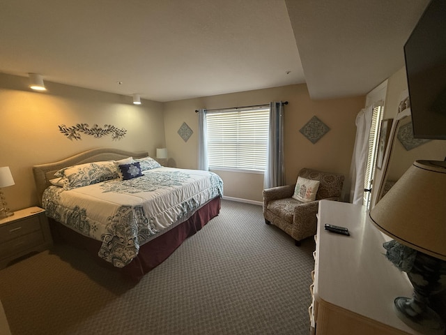 132 Highland Dr Unit 2, Branson, MO 65616 - view of carpeted bedroom