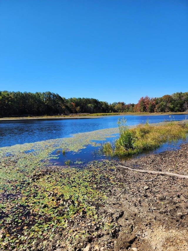 20001 Clear Lake Ter, Winona, MO 65588 - water view featuring a heavily wooded area