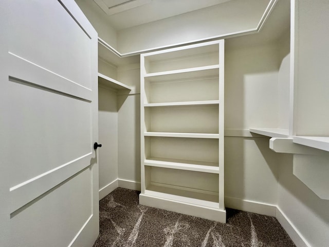 409 Silverwood Cir, Branson West, MO 65737 - spacious closet with carpet