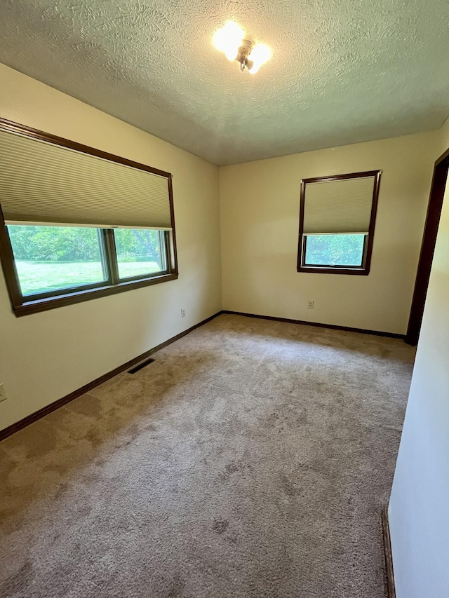 194 State Highway T, Oldfield, MO 65720 - unfurnished room with carpet floors, a textured ceiling, and baseboards