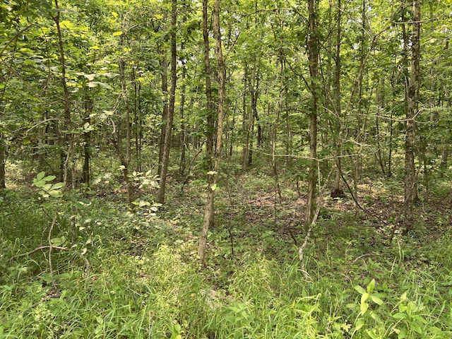 LOTS7 County Road 206, Alton, MO 65606