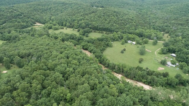 000 County Road 814, Gainesville, MO 65655 - photo 16