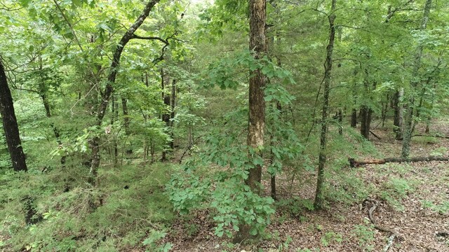 000 County Road 814, Gainesville, MO 65655 - photo 9