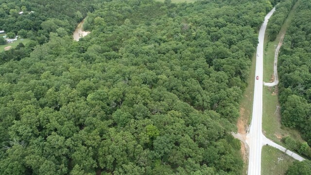 000 County Road 814, Gainesville, MO 65655 - photo 18