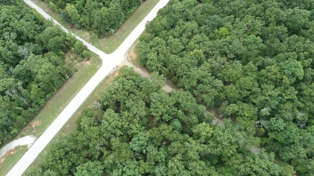 000 County Road 814, Gainesville, MO 65655 - photo 17