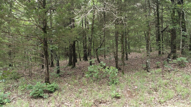 000 County Road 814, Gainesville, MO 65655 - photo 2
