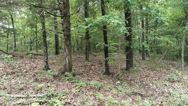 000 County Road 814, Gainesville, MO 65655 - photo 5