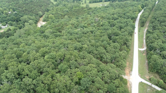 000 County Road 814, Gainesville, MO 65655 - photo 1