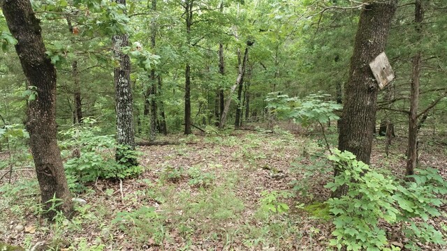 000 County Road 814, Gainesville, MO 65655 - photo 11
