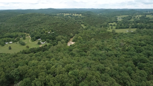 000 County Road 814, Gainesville, MO 65655 - photo 19