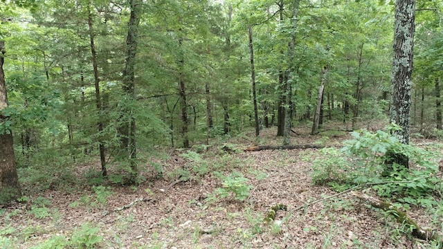 000 County Road 814, Gainesville, MO 65655 - photo 10