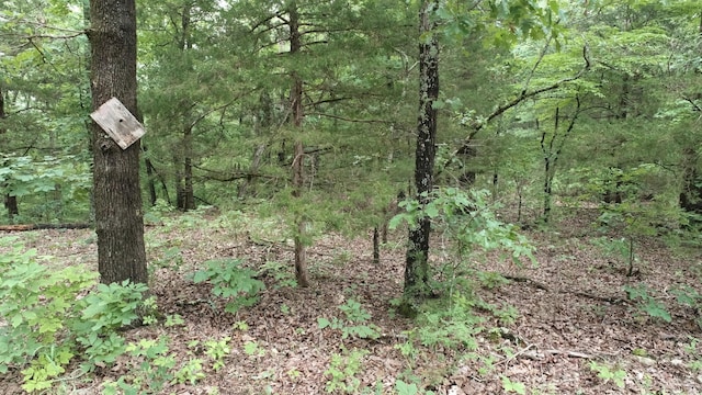 000 County Road 814, Gainesville, MO 65655 - photo 12