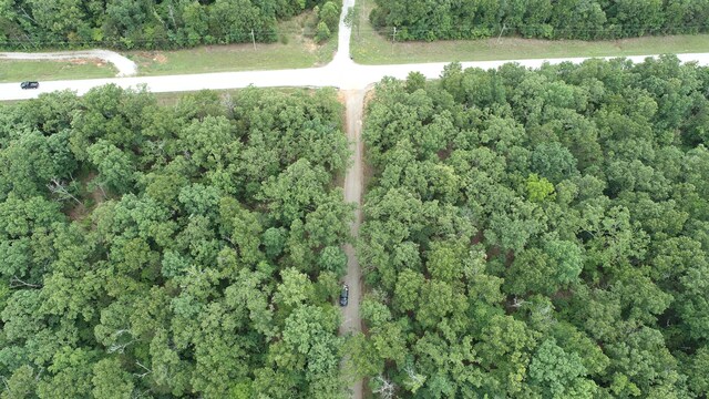 000 County Road 814, Gainesville, MO 65655 - photo 13