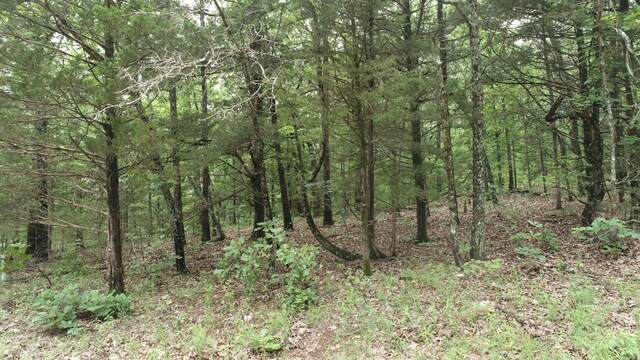000 County Road 814, Gainesville, MO 65655 - photo 3