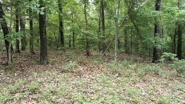 000 County Road 814, Gainesville, MO 65655 - photo 6