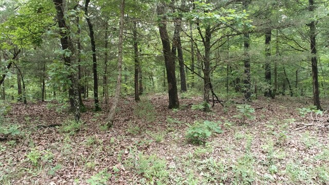 000 County Road 814, Gainesville, MO 65655 - photo 4