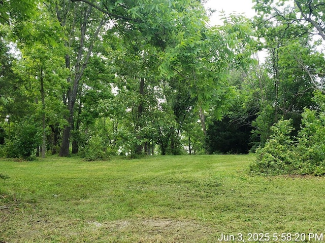 125 Hill St, Willow Springs, MO 65793 - photo 6