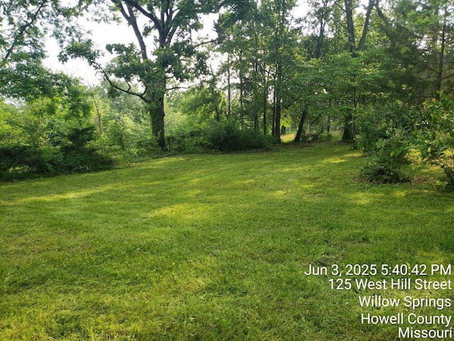 125 Hill St, Willow Springs, MO 65793 - photo 1