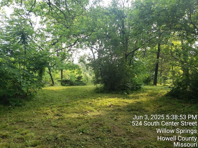 125 Hill St, Willow Springs, MO 65793 - photo 7