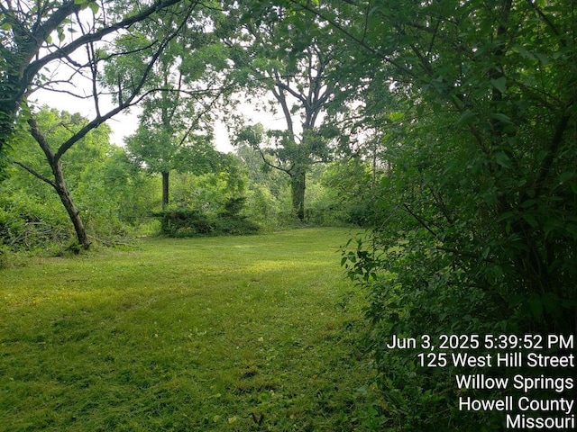 125 Hill St, Willow Springs, MO 65793 - photo 5