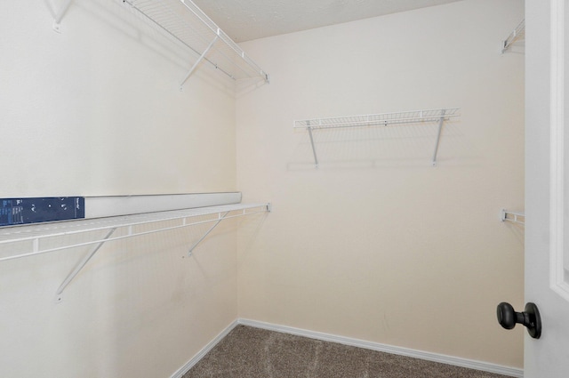 612-614 E Daniels St, Ozark, MO 65721 - spacious closet with carpet floors