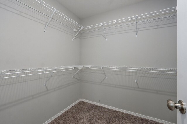 1366 S Olde Savannah Ave, Republic, MO 65738 - spacious closet featuring dark carpet