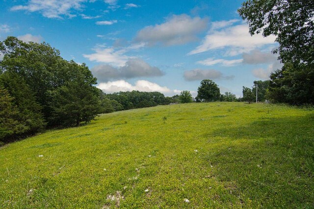 6034 Flat Creek Rd, Cape Fair, MO 65624 - photo 15