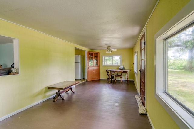 6034 Flat Creek Rd, Cape Fair, MO 65624 - photo 28