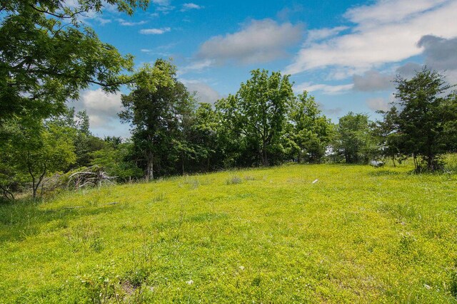 6034 Flat Creek Rd, Cape Fair, MO 65624 - photo 23