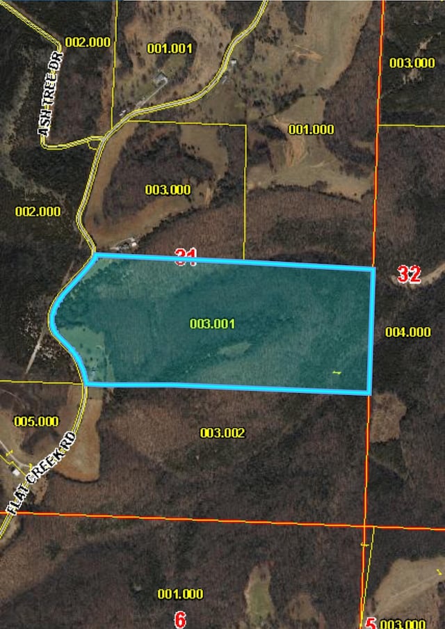 6034 Flat Creek Rd, Cape Fair, MO 65624 - photo 41