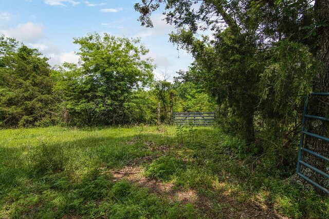 6034 Flat Creek Rd, Cape Fair, MO 65624 - photo 11