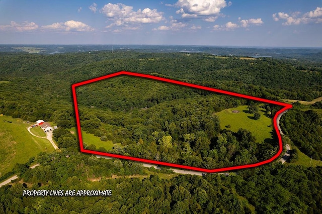 6034 Flat Creek Rd, Cape Fair, MO 65624 - photo 2