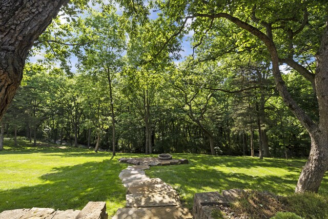 5935 S Farm Rd Unit 185, Rogersville, MO 65742 - photo 79