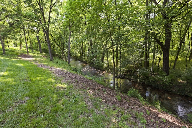 5935 S Farm Rd Unit 185, Rogersville, MO 65742 - photo 4