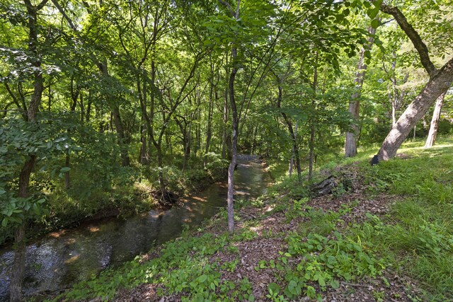5935 S Farm Rd Unit 185, Rogersville, MO 65742 - photo 84