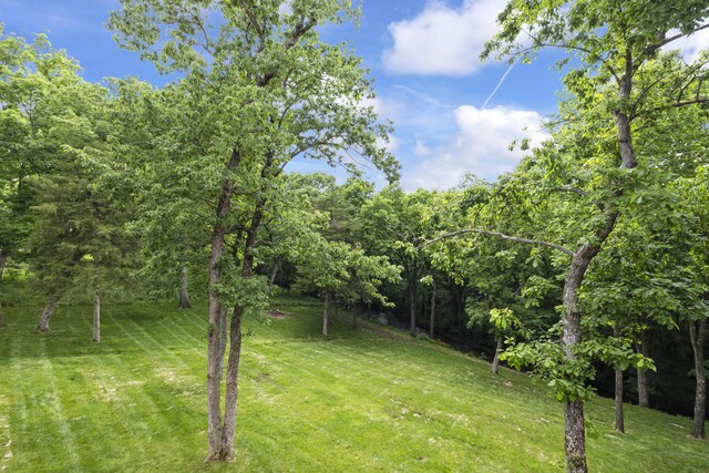 5935 S Farm Rd Unit 185, Rogersville, MO 65742 - photo 53