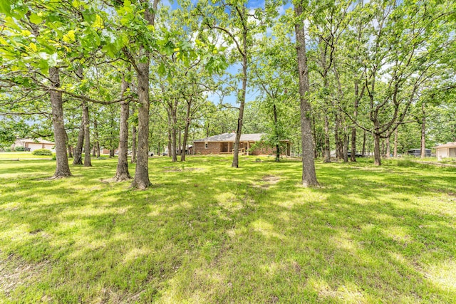 1061 Brentwood Dr, Marshfield, MO 65706 - view of green lawn