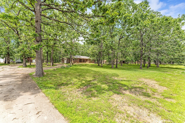 1061 Brentwood Dr, Marshfield, MO 65706 - view of grassy yard